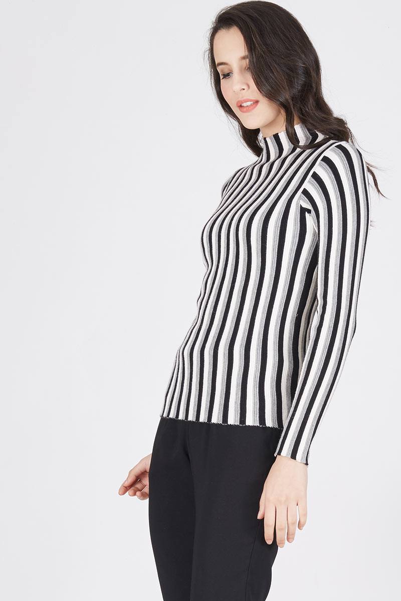 striped roll neck top