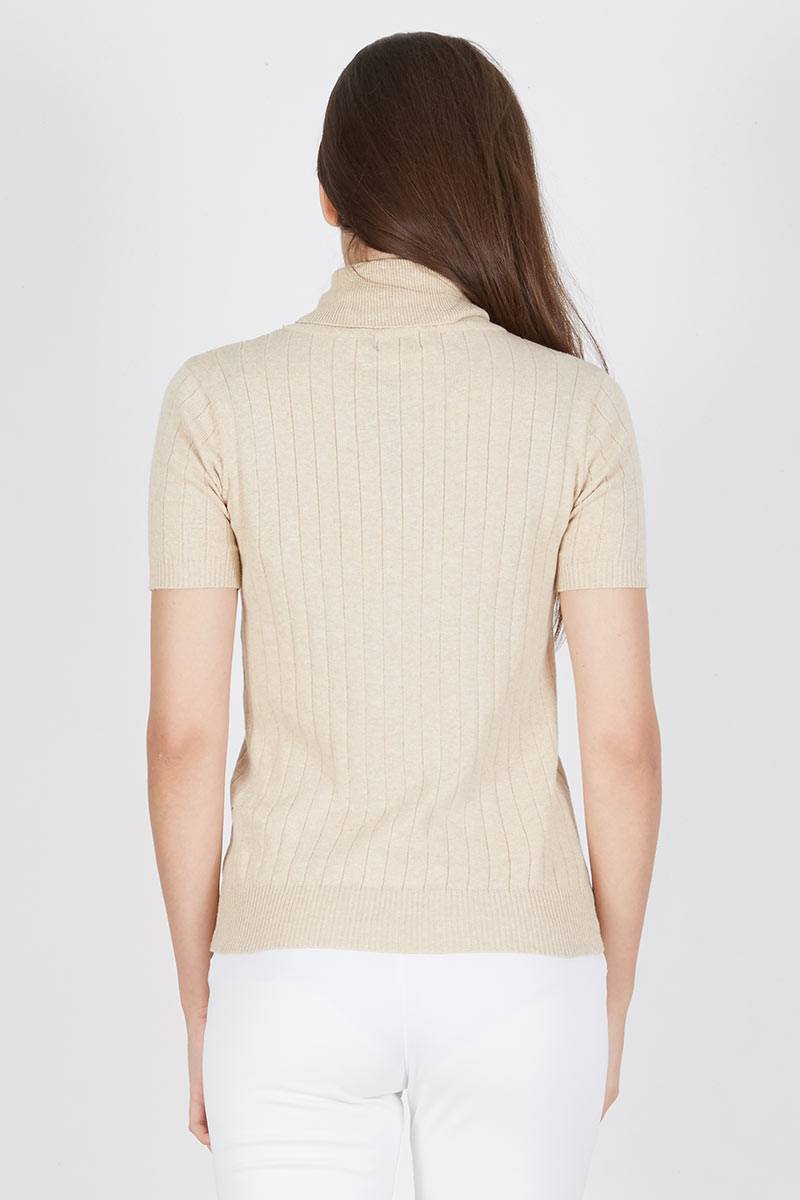 Short Sleeve Line Turtle Neck Sweater 